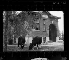 Natchez School S.S. No. 6 Closing