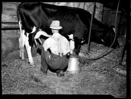 Farm Feature
