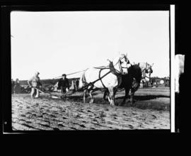 North Dumfries plowing match