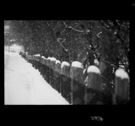 Weather Pictures