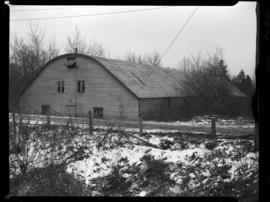 Ayr, Rink