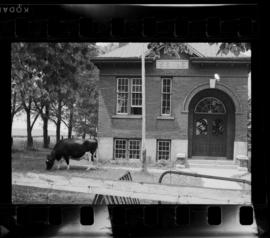 Natchez School S.S. No. 6 Closing