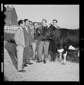 Korean Farmer Buyers