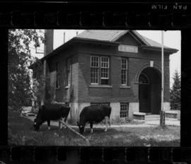 Natchez School S.S. No. 6 Closing