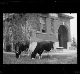 Natchez School S.S. No. 6 Closing