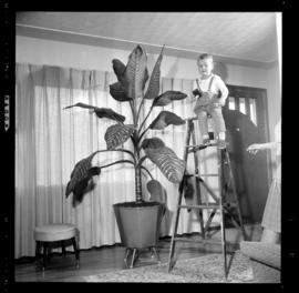 Monus, Mrs. Andrew & Tropical Plant