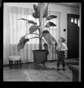 Monus, Mrs. Andrew & Tropical Plant