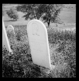 Pioneer Cemetery near Haysville, Summer