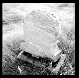 Pioneer Cemetery near Haysville, Summer