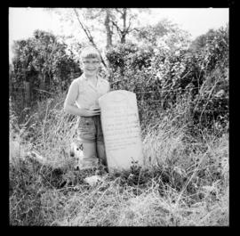 Pioneer Cemetery near Haysville, Summer