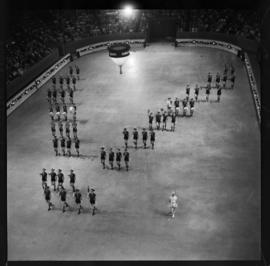 Preston Scout House, Kitchener Memorial Auditorium