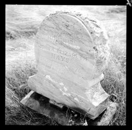 Pioneer Cemetery near Haysville, Summer