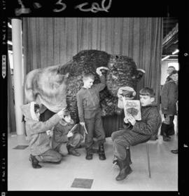 Buffalo Toy, Waterloo Library