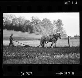 Mennonites Plowing
