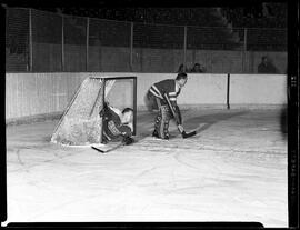 Hockey, Dutchmen-Owen Sound Action