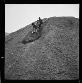Tobogganing in Sand