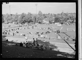 Galt Fair, Cambridge