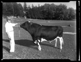 Black and White Show