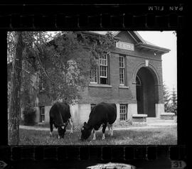 Natchez School S.S. No. 6 Closing