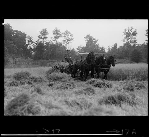 Original デジタルオブジェクト not accessible