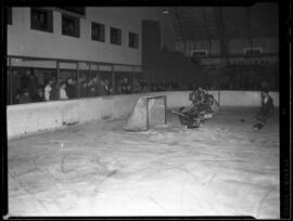 Hockey, Elmira Polar Kings Action