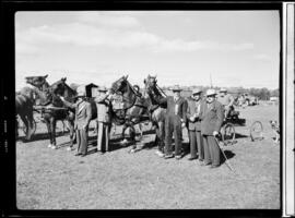 Holstein Fair