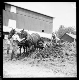 Farm Feature