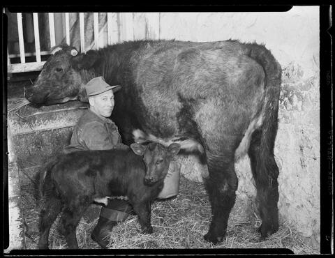 Original Digital object not accessible