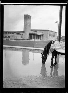 Smithson School [Kitchener]