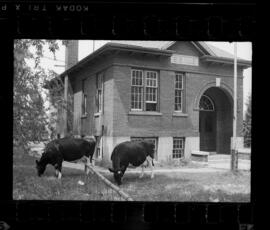 Natchez School S.S. No. 6 Closing