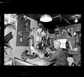 Meyer, William, Taxidermist