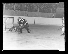 Hockey, Action, Dutchmen-Chatham