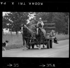 Mennonites