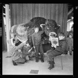 Buffalo Toy, Waterloo Library