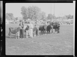 Galt Fair, Junior Day