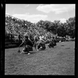 Kitchener, Public School Field Day