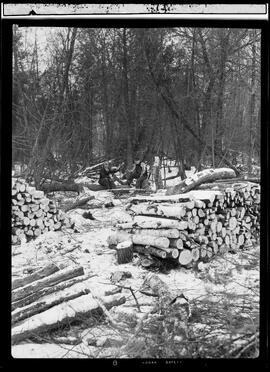 Luther Marsh Feature