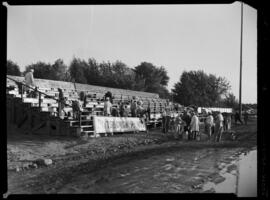 Waterloo, Seagram Stadium, Painting Bee