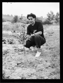 Haskill, Mrs. Ken