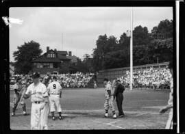 Baseball, Kitchener