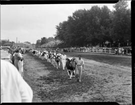 Galt Fall Fair