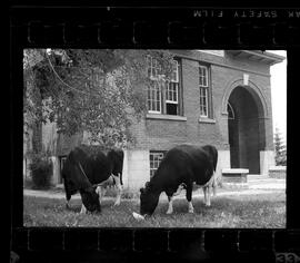Natchez School S.S. No. 6 Closing