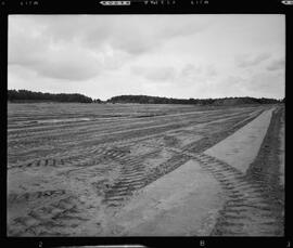 Budd Plant Construction