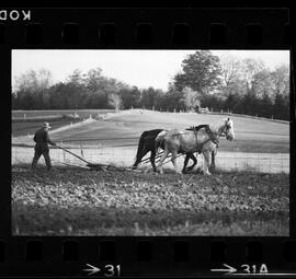 Mennonites Plowing