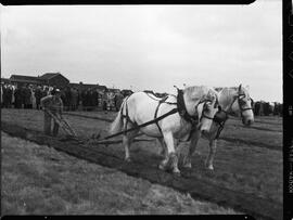 International plowing match