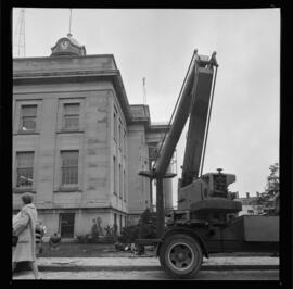 City Hall, Tree Removal