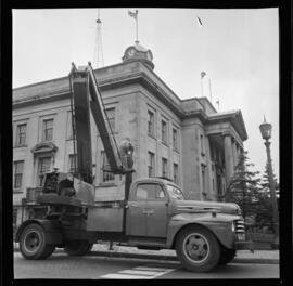 City Hall, Tree Removal