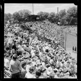 Kitchener, Public School Field Day