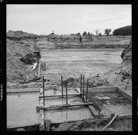 Budd Plant Construction