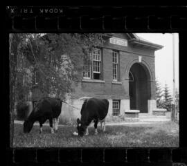 Natchez School S.S. No. 6 Closing
